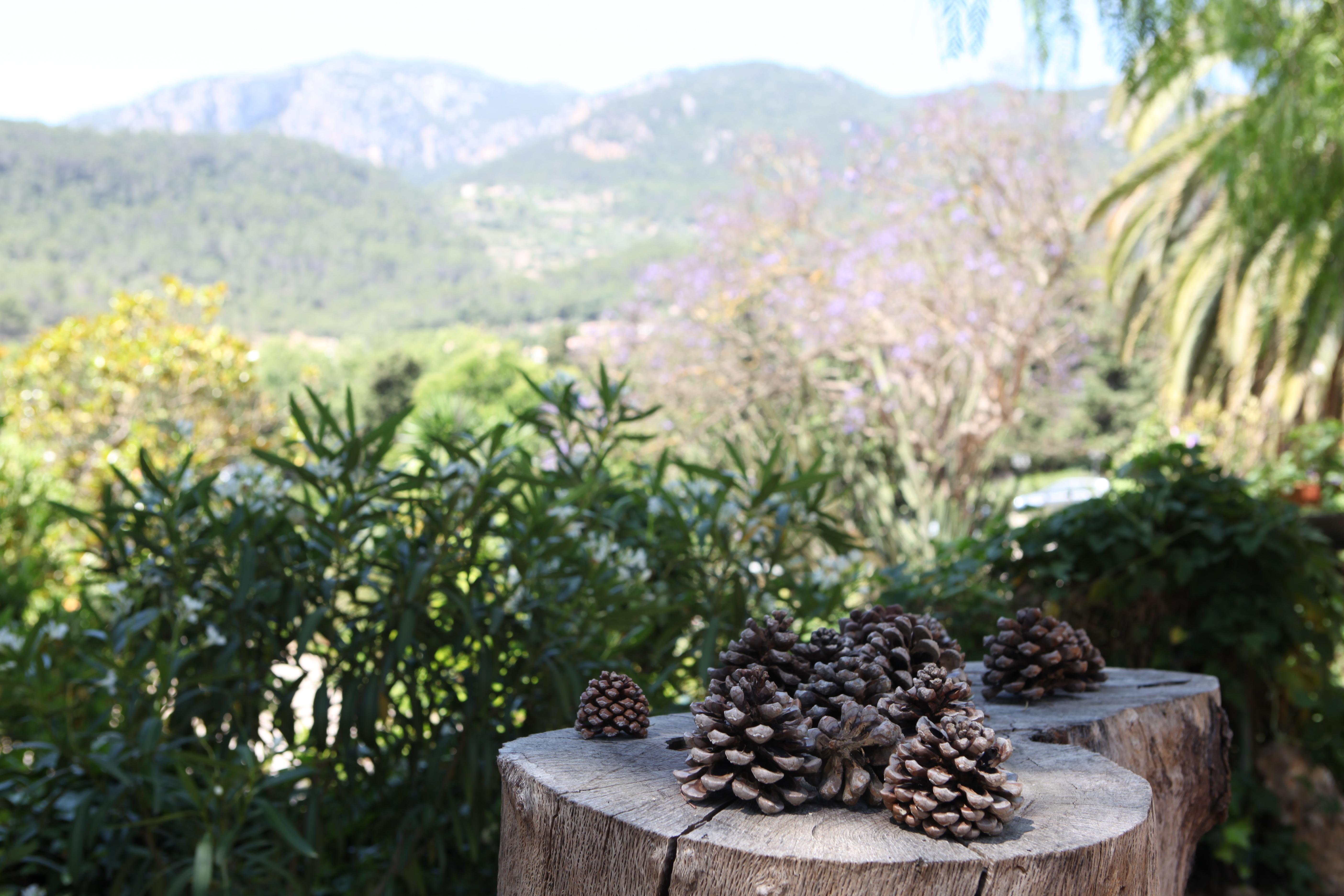 Agroturismo Son Galceran (Adults Only) Esporles Ngoại thất bức ảnh